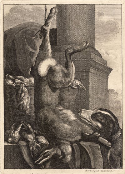 Der tote Hase (Zustand 3) von Wenceslaus Hollar